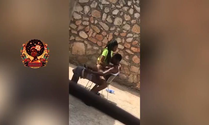 public yard porn video on stellaplusxyz thumbnail