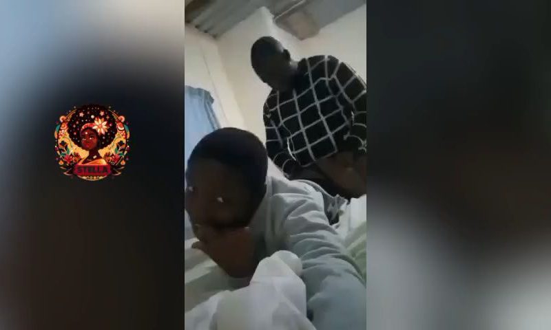 teach and students more on stellaplusxyz thumbnail