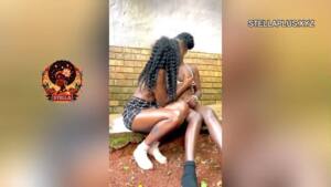 stellaplus.xyz best porn aggregator website() thumbnail