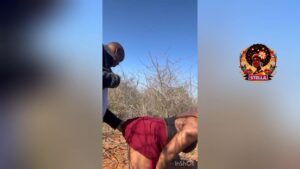 Watch More African Porn Videos free Download On StellaPlus.xyz Now(103) thumbnail 1