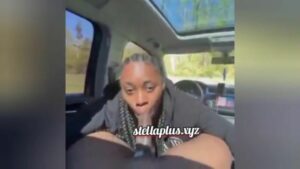 Big dick blowjob xxx video